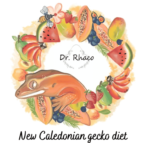 dr-rhac-gecko-food
