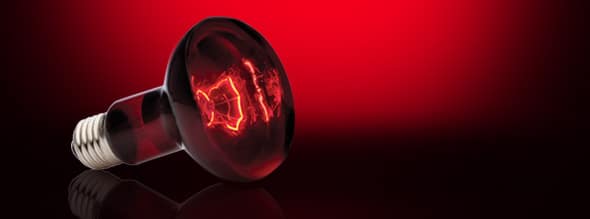 infrared_basking_spot