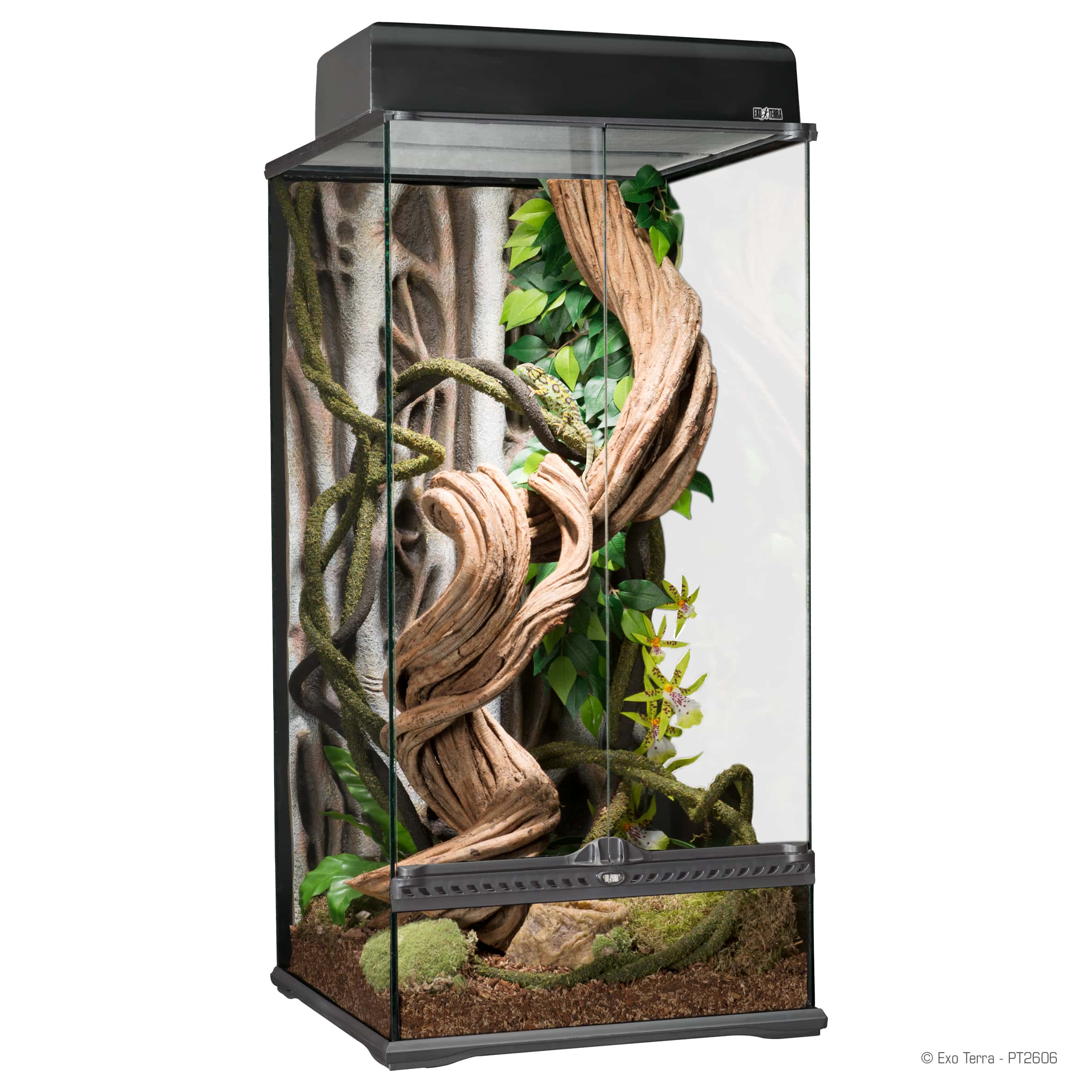 Rain-forest-terrarium_PT2606