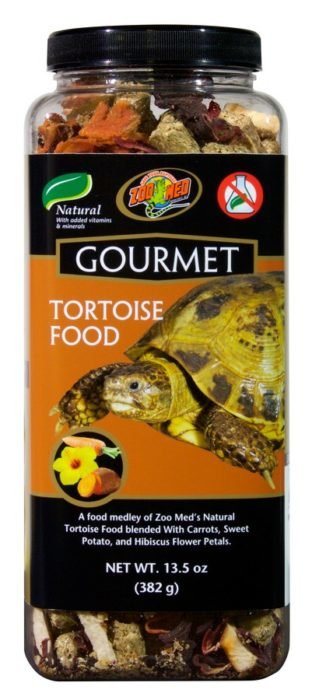 gourmettortoisefood