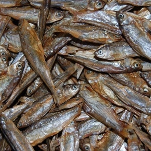 Gedroogde-visjes-4-7cm
