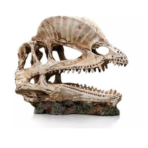 Socle-dinosaure-2-19-X-9-X-14-CM
