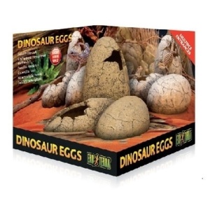 dinosaureggs
