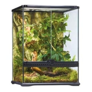 exoterraglassterrariumwide
