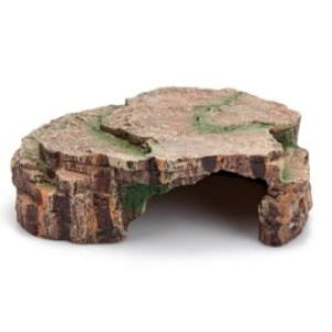 giganterragrotforestl