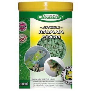 iguanafoodjuvenile