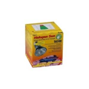 luckyreptilehalogensun50