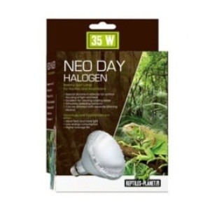 neodayhalogen35