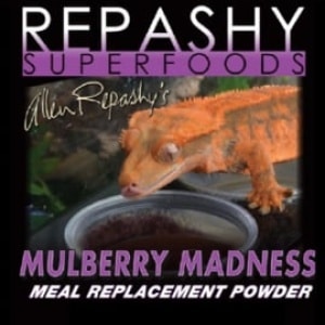 repashyseasonalblendmulberrymadness