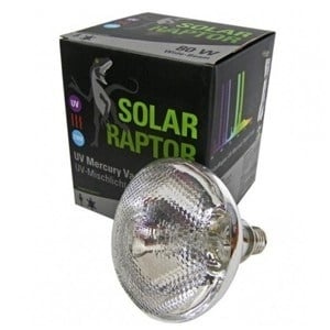 solarraptor-100-watt