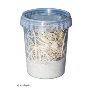 XXL pot fruitvliegen