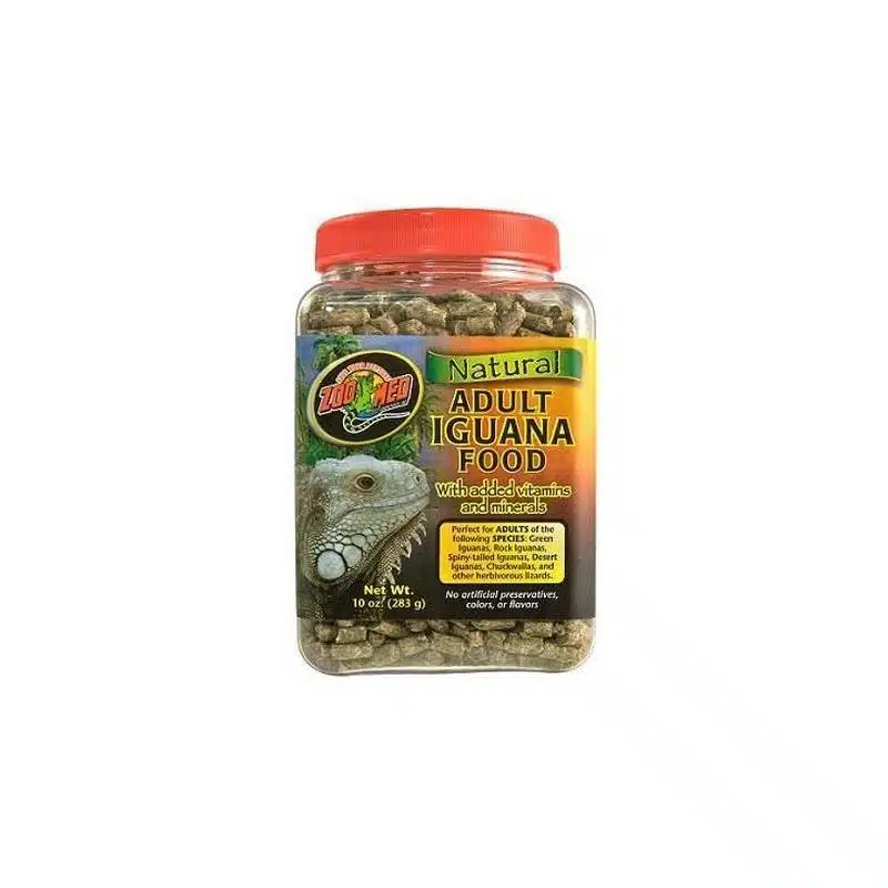 zoomednaturaliguanafoodadult