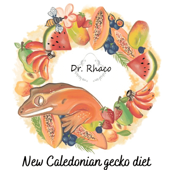 dr-rhac-gecko-food