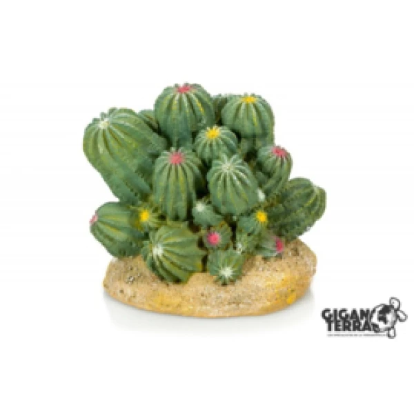 giganterracactus